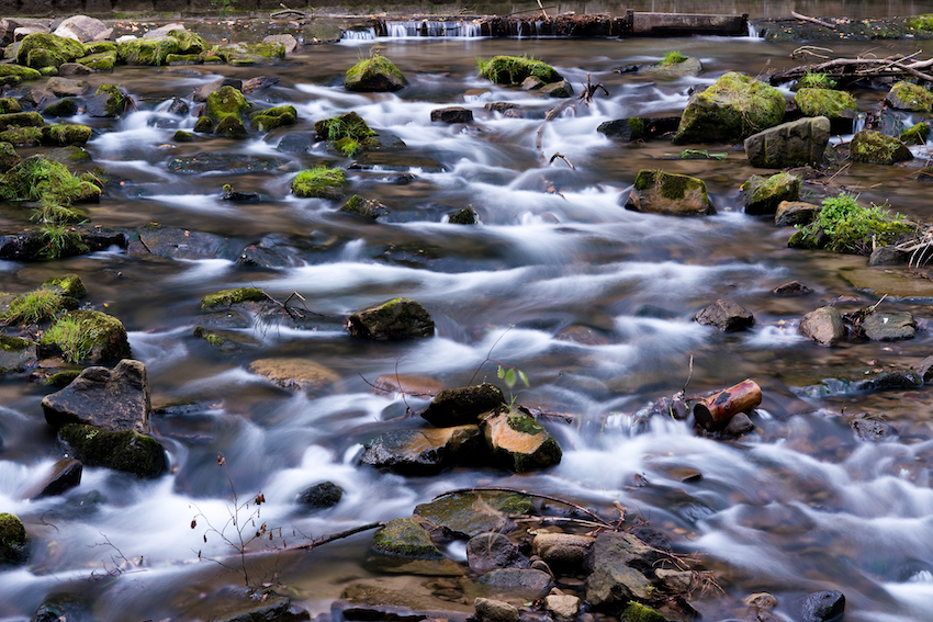 Ein Bachlauf mit Steinen auf denen Moos wächst und an denen das Wasser in kleinen Stromschnellen vorbeifließt. 