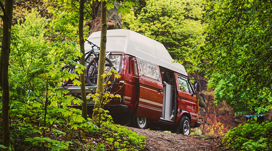 a vw bus in the woods
