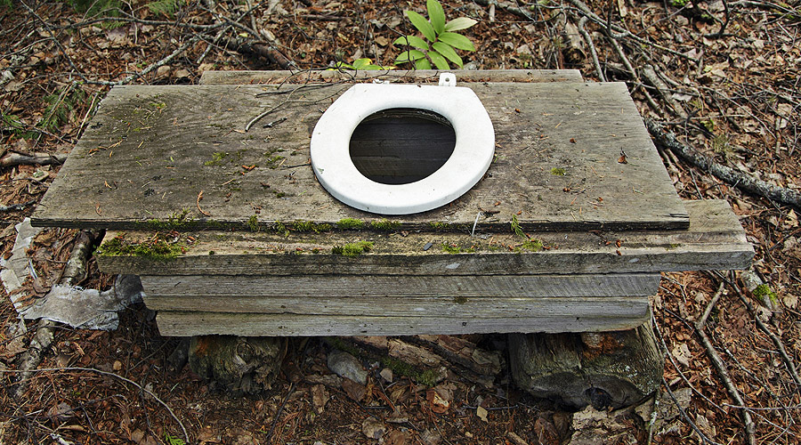 A toiletseat in the woods