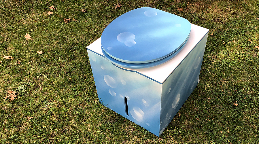 a painted dry toilet in the grass