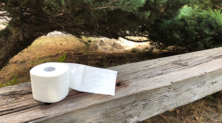 A roll of toilet paper on a bench