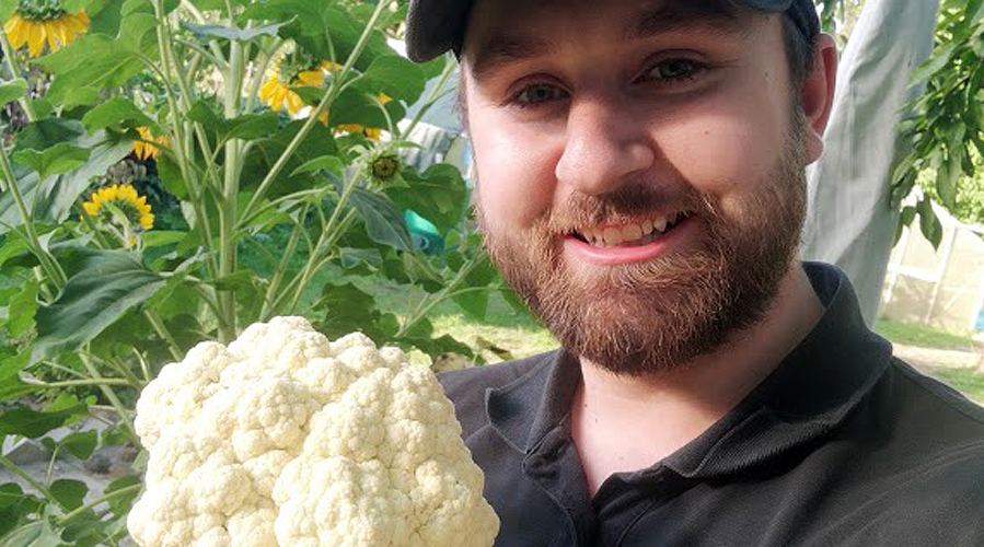 a man showing his own grown cauliflower