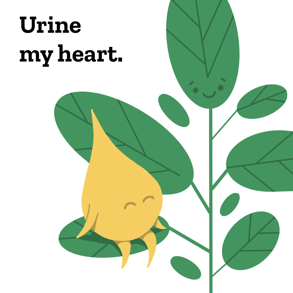A drop of urine is sitting on a plant and says „Urine my heart.“